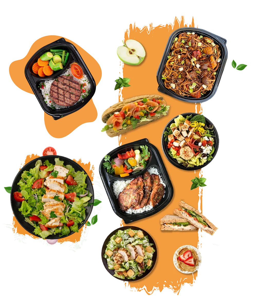 Beef & Chicken mix plan